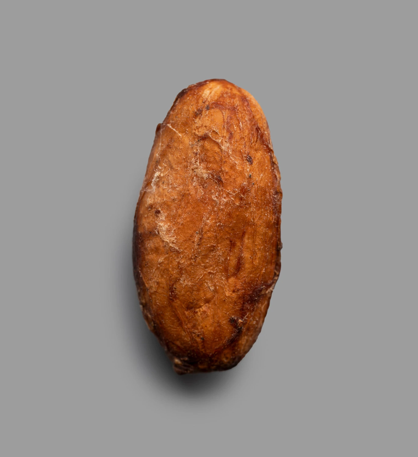 ROUGH-GROUND - Image 5